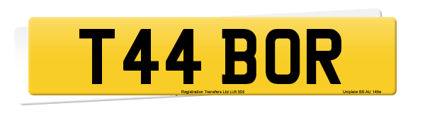 Registration number T44 BOR